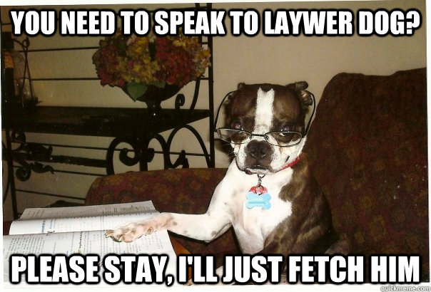 You need to speak to laywer dog? Please stay, I'll just fetch him - You need to speak to laywer dog? Please stay, I'll just fetch him  Receptionist Dog