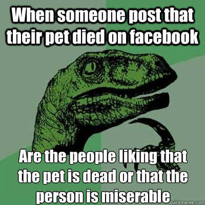 When someone post that their pet died on facebook Are the people liking that the pet is dead or that the person is miserable  - When someone post that their pet died on facebook Are the people liking that the pet is dead or that the person is miserable   Married Philosoraptor