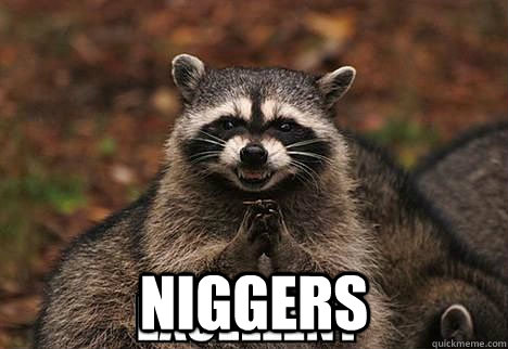  NIGGERS  evil racoon