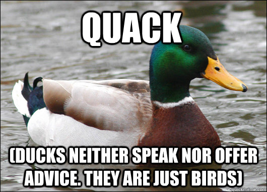 Quack (Ducks neither speak nor offer advice. they are just birds)  Actual Advice Mallard