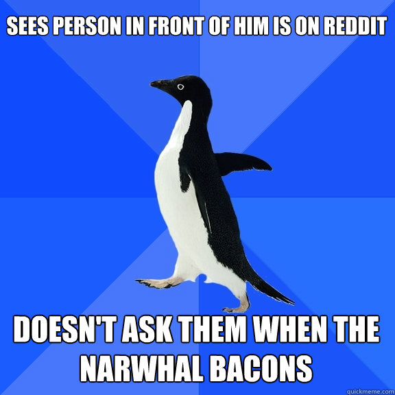 Sees person in front of him is on reddit Doesn't ask them when the narwhal bacons  Socially Awkward Penguin