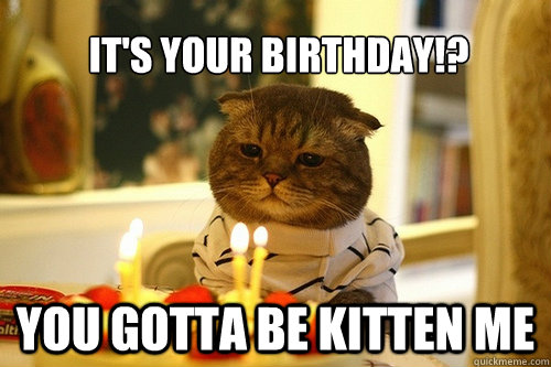 It's your birthday!? You gotta be kitten me  