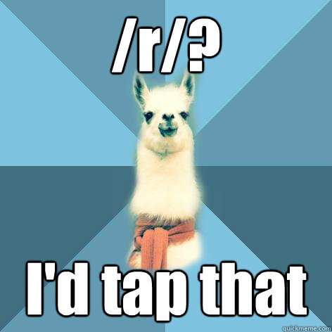 /r/? I'd tap that  Linguist Llama