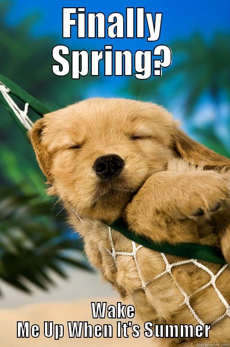 Finally spring? - FINALLY SPRING? WAKE ME UP WHEN IT'S SUMMER Misc