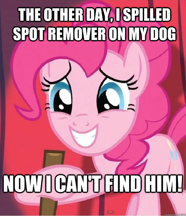 the other day, i spilled spot remover on my dog now i can't find him! - the other day, i spilled spot remover on my dog now i can't find him!  Bad Joke Pinkie Pie