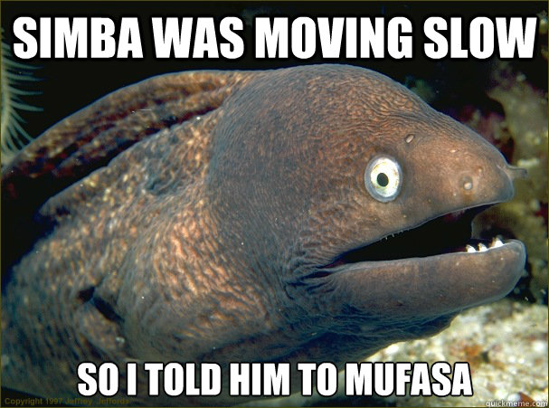 Simba was moving slow so I told him to Mufasa  Bad Joke Eel