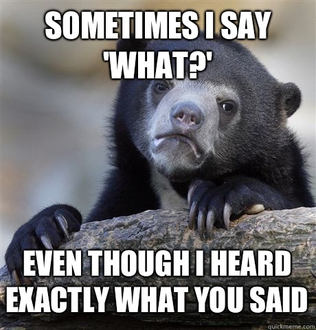 SOMETIMES I SAY 'WHAT?' EVEN THOUGH I HEARD EXACTLY WHAT YOU SAID  Confession Bear