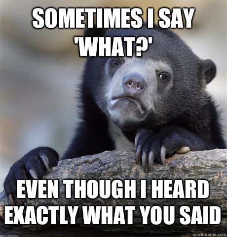 SOMETIMES I SAY 'WHAT?' EVEN THOUGH I HEARD EXACTLY WHAT YOU SAID - SOMETIMES I SAY 'WHAT?' EVEN THOUGH I HEARD EXACTLY WHAT YOU SAID  Confession Bear