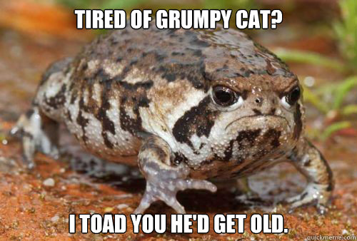 Tired of Grumpy Cat? I toad you he'd get old.  