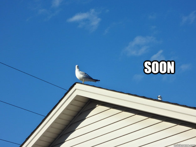 SOON  Soon