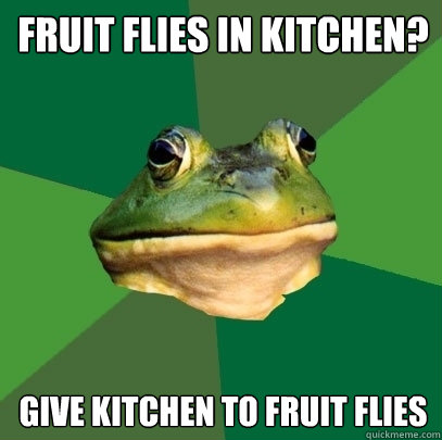 Fruit Flies in Kitchen? Give kitchen to fruit flies  Foul Bachelor Frog