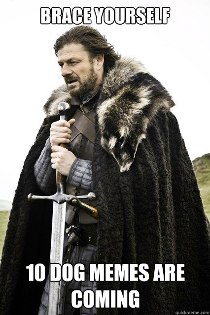 Brace yourself 10 Dog Memes are coming Caption 3 goes here  Timeline Complaints Brace Yourself