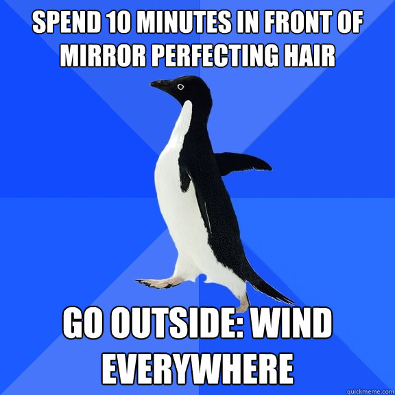 spend 10 minutes in front of mirror perfecting hair go outside: wind everywhere  Socially Awkward Penguin
