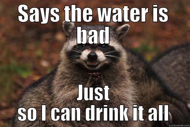 SAYS THE WATER IS BAD JUST SO I CAN DRINK IT ALL Evil Plotting Raccoon