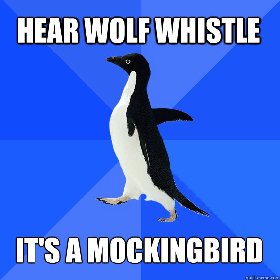 Hear wolf whistle it's a mockingbird  Socially Awkward Penguin