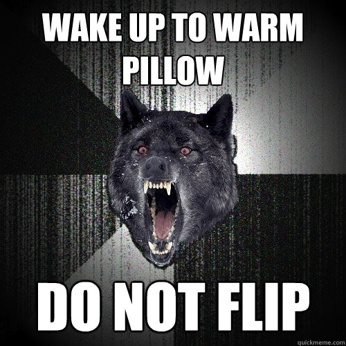 wake up to warm pillow do not flip  Insanity Wolf