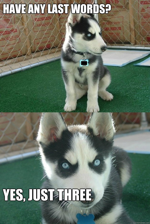 Have any last words? yes, just three  Insanity puppy