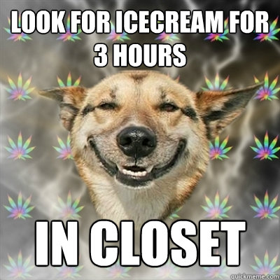 LOOK FOR ICECREAM FOR 3 HOURS IN CLOSET  Stoner Dog