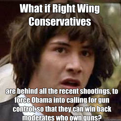 What if Right Wing Conservatives are behind all the recent shootings, to force Obama into calling for gun control, so that they can win back moderates who own guns?  