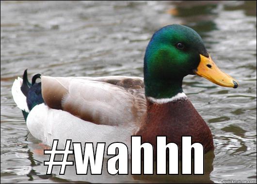  #WAHHH Actual Advice Mallard