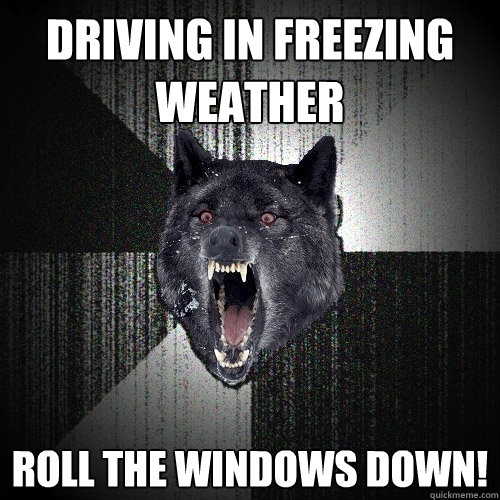 Driving in freezing weather Roll the windows down!  Insanity Wolf