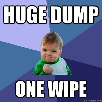 HUGE DUMP ONE WIPE  Success Kid