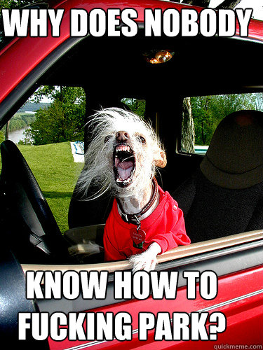 WHY DOES NOBODY HERE KNOW HOW TO FUCKING PARK?  angry driver