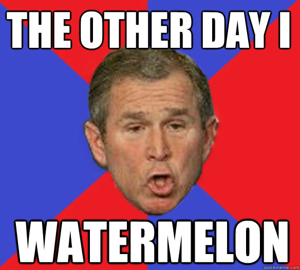 the other day i watermelon - the other day i watermelon  George Bushisms