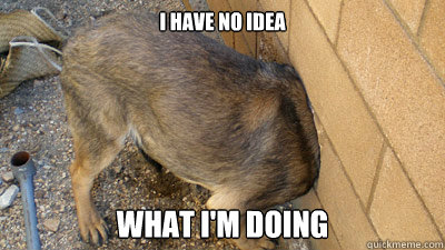 I Have No Idea what i'm doing - I Have No Idea what i'm doing  Misc