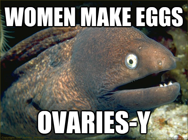 Women make eggs ovaries-y  Bad Joke Eel