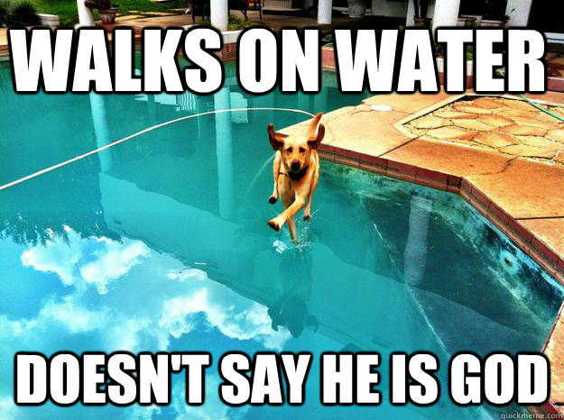 Walks on Water Doesn't say he is God - Walks on Water Doesn't say he is God  Good Guy Dog