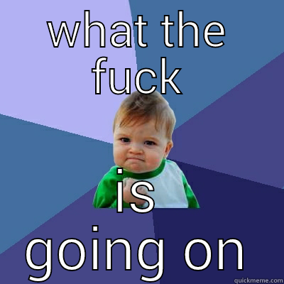 WHAT THE FUCK IS GOING ON Success Kid