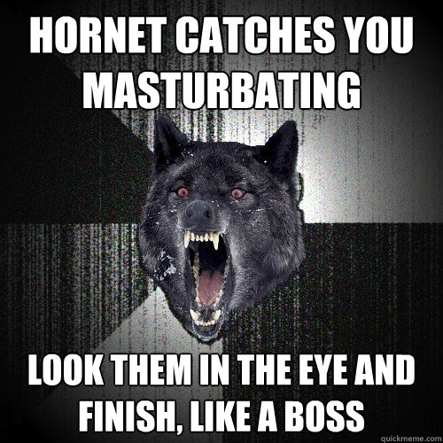 Hornet catches you 
masturbating look them in the eye and 
finish, like a boss  Insanity Wolf