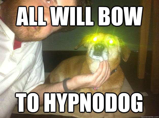 ALL WILL BOW TO HYPNODOG  
