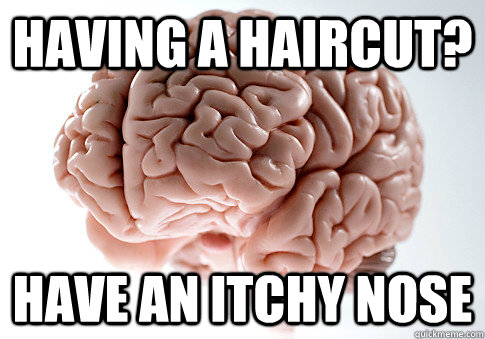 Having a haircut? Have an itchy nose  Scumbag Brain
