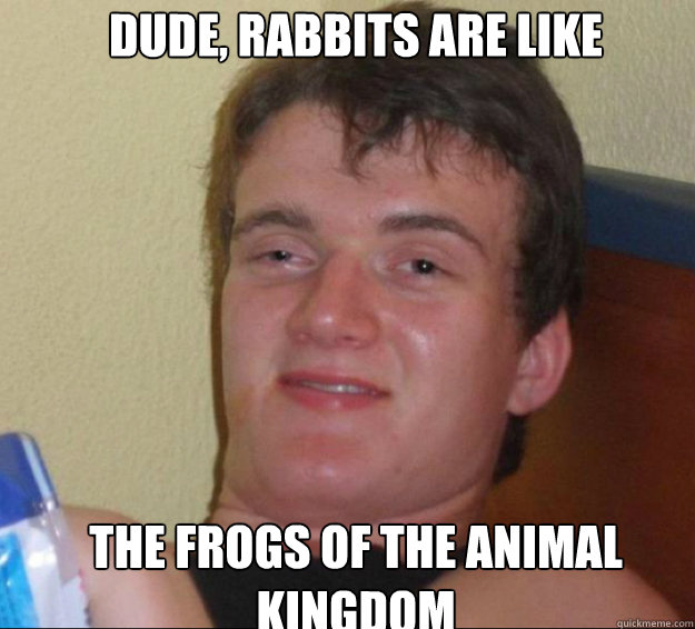 Dude, Rabbits are like  the frogs of the animal kingdom  10guy