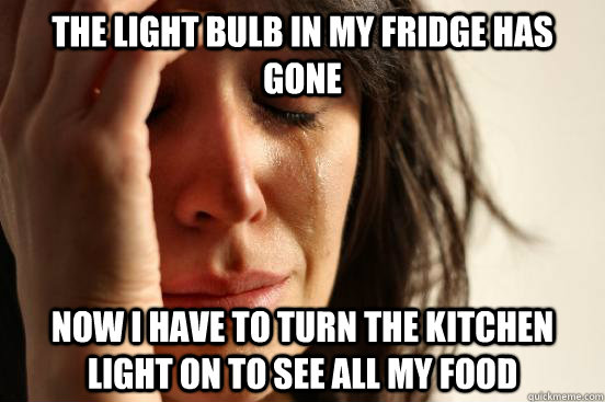the light bulb in my fridge has gone now i have to turn the kitchen light on to see all my food  First World Problems