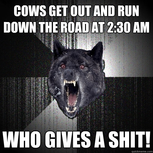 cows get out and run down the road at 2:30 am who gives a shit!  Insanity Wolf