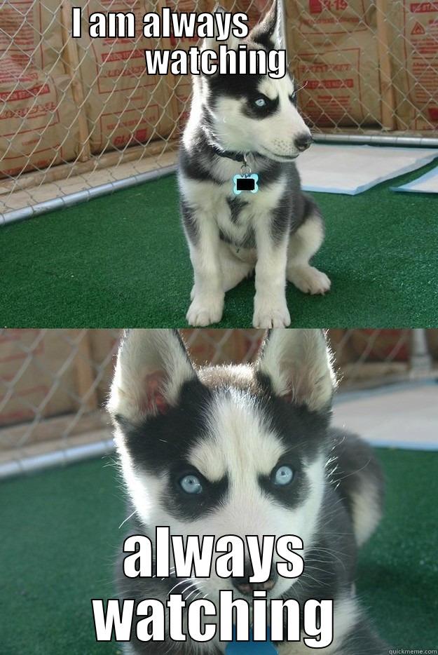 I AM ALWAYS                  WATCHING ALWAYS WATCHING Insanity puppy