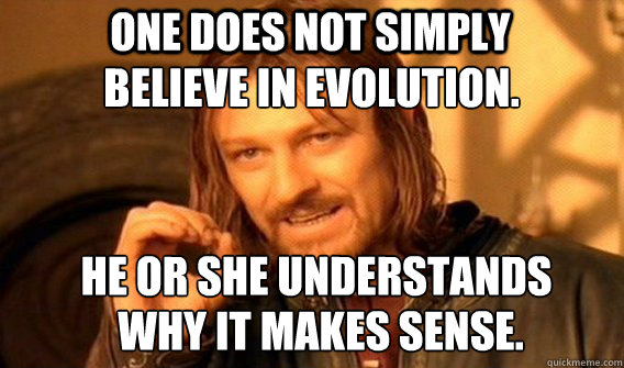 One does not simply Believe in evolution. He or she understands  why it makes sense.  