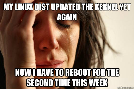 my linux dist updated the kernel yet again now i have to reboot for the second time this week  First World Problems
