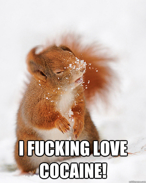  I Fucking Love Cocaine! -  I Fucking Love Cocaine!  cover squirrel