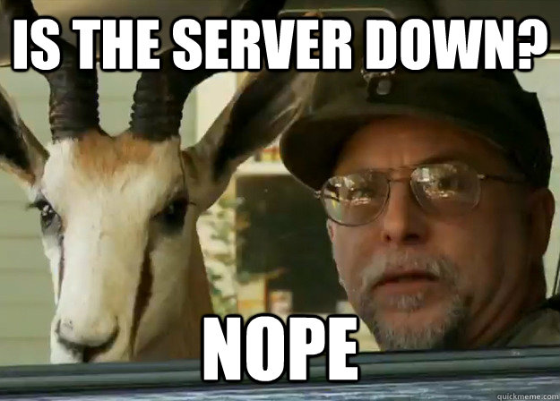 Is the Server Down? Nope - Is the Server Down? Nope  Chuck Testa