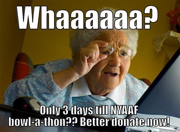 WHAAAAAA? ONLY 3 DAYS TILL NYAAF BOWL-A-THON?? BETTER DONATE NOW! Grandma finds the Internet