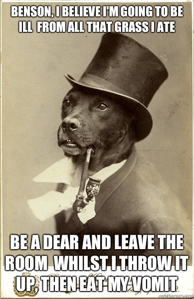 Benson, I believe I'm going to be ill  from all that grass I ate Be a dear and leave the room  whilst I throw it up, then eat my vomit - Benson, I believe I'm going to be ill  from all that grass I ate Be a dear and leave the room  whilst I throw it up, then eat my vomit  Old Money Dog