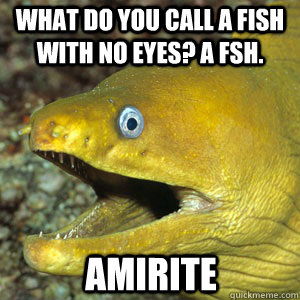 WHAT DO YOU CALL A FISH WITH NO EYES? A FSH. AMIRITE - WHAT DO YOU CALL A FISH WITH NO EYES? A FSH. AMIRITE  Amirite Eel