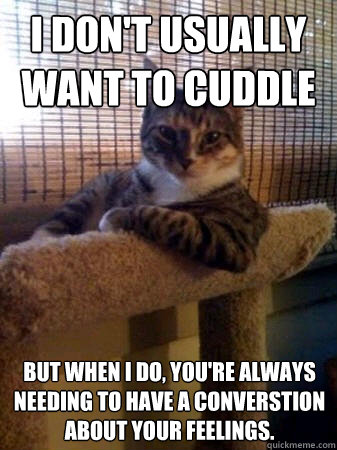 I don't usually want to cuddle but when I do, you're always needing to have a converstion about your feelings.  The Most Interesting Cat in the World