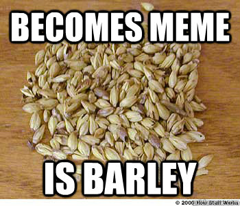 Becomes meme is barley  