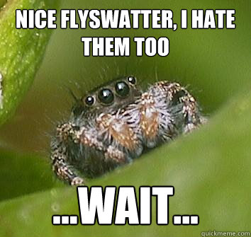 nice flyswatter, i hate them too ...wait...  Misunderstood Spider