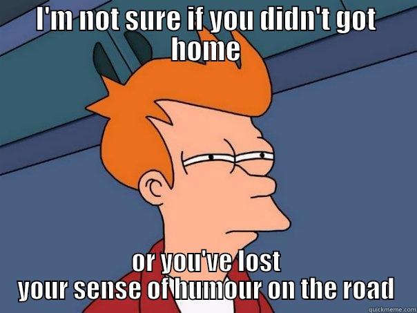 I'M NOT SURE IF YOU DIDN'T GOT HOME OR YOU'VE LOST YOUR SENSE OF HUMOUR ON THE ROAD Futurama Fry